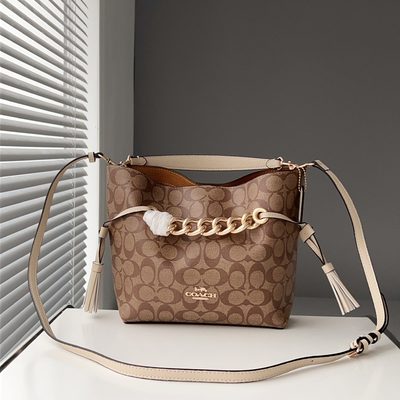 Coach Bag — 3
