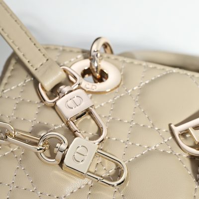Dior Bag — 5