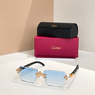 Cartier Sunglasses — 8