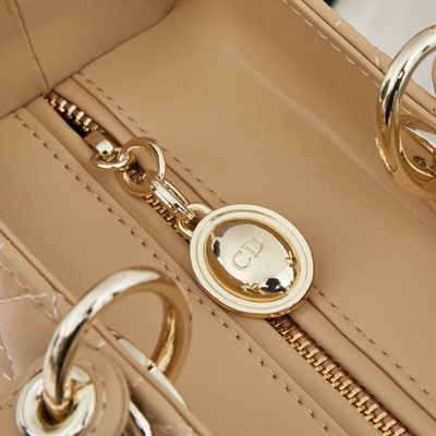 Dior Bag — 7
