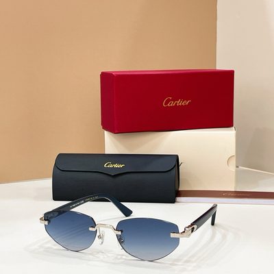 Cartier Sunglasses — 4