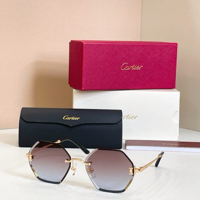 Cartier Sunglasses — 6