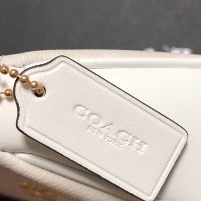 Coach Bag — 6