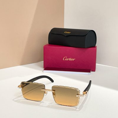 Cartier Sunglasses — 3