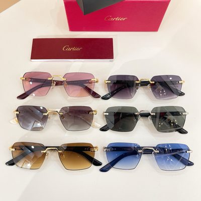 Cartier Sunglasses — 8