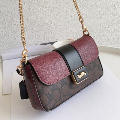 Coach Bag — 12