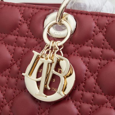 Dior Bag — 5