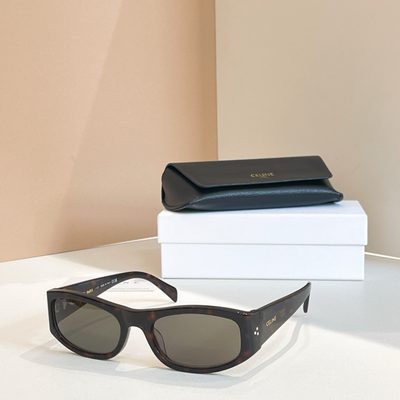 Celine Sunglasses — 6