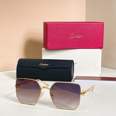 Cartier Sunglasses — 4