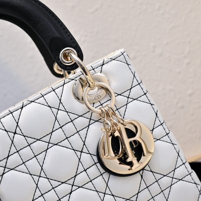 Dior Bag — 5