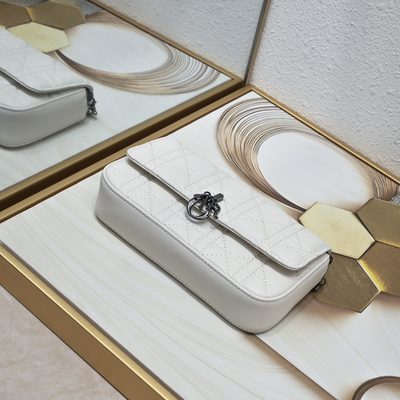 Dior Bag — 6