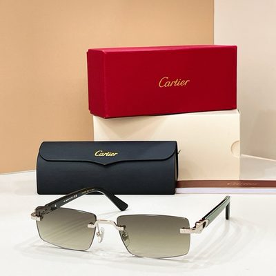 Cartier Sunglasses — 4