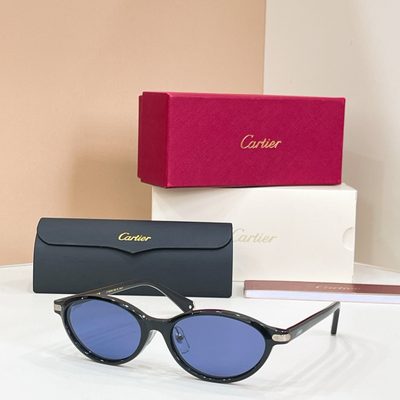Cartier Sunglasses — 7