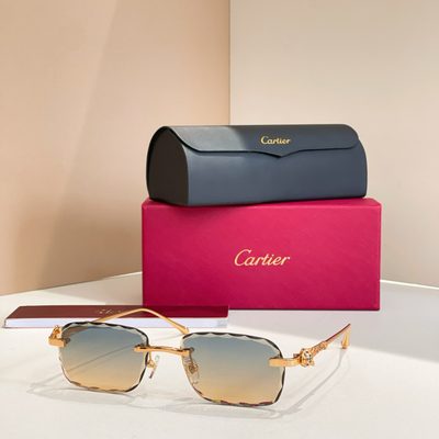 Cartier Sunglasses — 3
