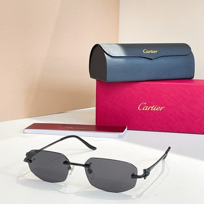 Cartier Sunglasses — 5