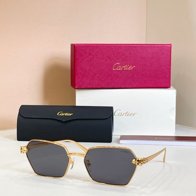 Cartier Sunglasses — 7