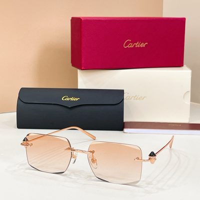 Cartier Sunglasses — 3