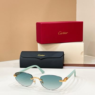 Cartier Sunglasses — 9