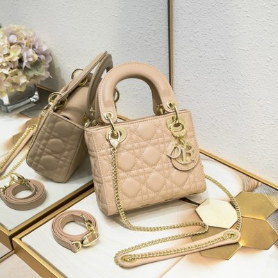 Dior Bag