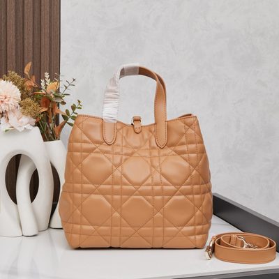 Dior Bag — 4