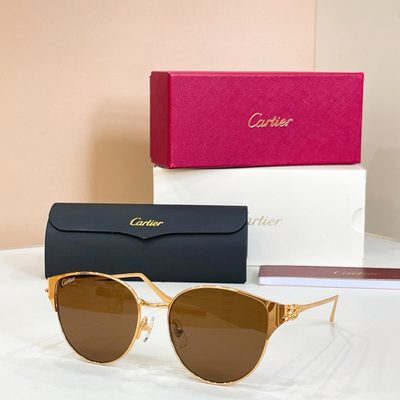 Cartier Sunglasses — 4