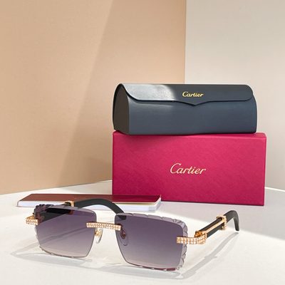 Cartier Sunglasses — 7