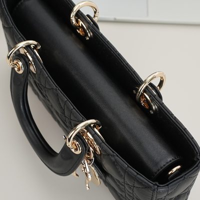 Dior Bag — 8