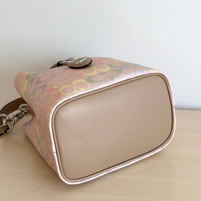 Coach Bag — 4