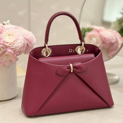 Dior Bag — 8