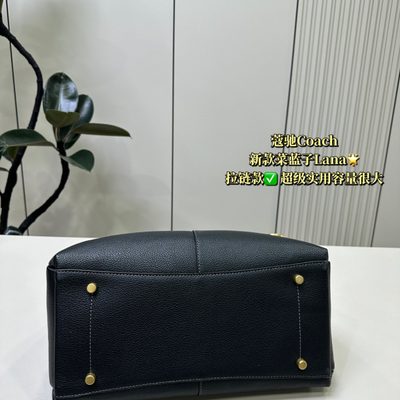 Coach Bag — 8
