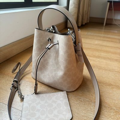 Coach Bag — 3
