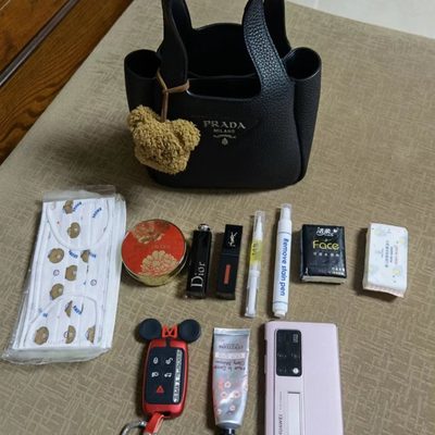 Prada Bag — 8