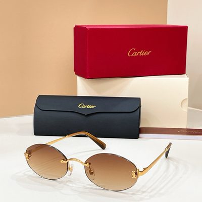 Cartier Sunglasses — 6