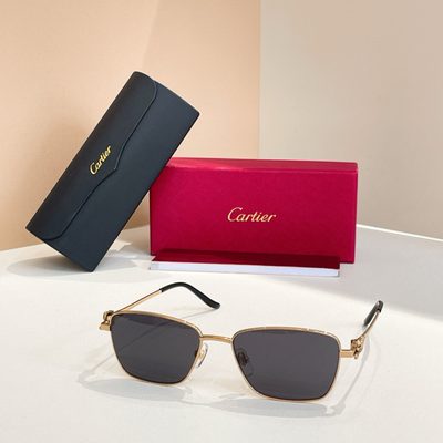 Cartier Sunglasses — 6