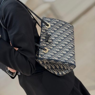 Dior Bag — 12