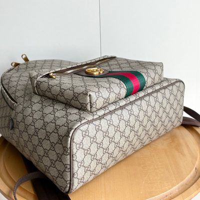 Gucci Bag — 5