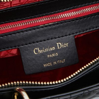 Dior Bag — 8