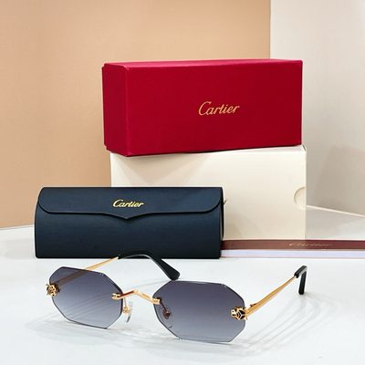 Cartier Sunglasses — 8