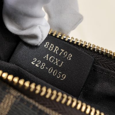 Fendi Bag — 7