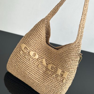 Coach Bag — 4