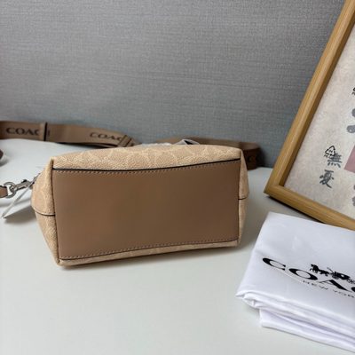 Coach Bag — 6