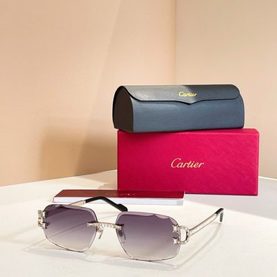Cartier Sunglasses — 6