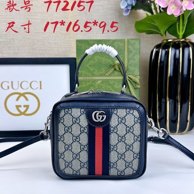Gucci Bag
