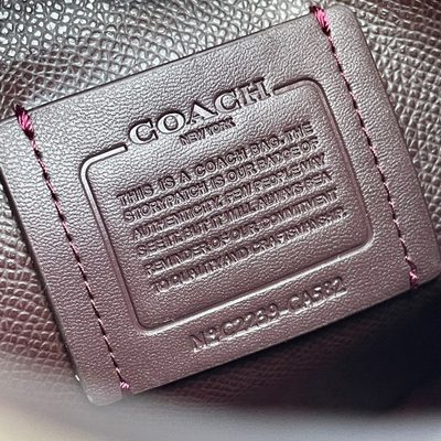 Coach Bag — 7
