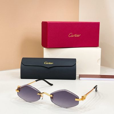 Cartier Sunglasses — 3