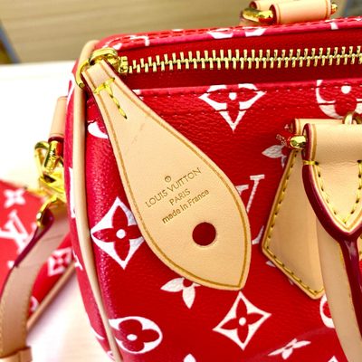 Louis Vuitton Bag — 5