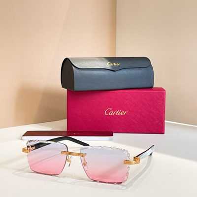 Cartier Sunglasses — 6
