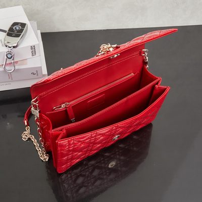 Dior Bag — 9