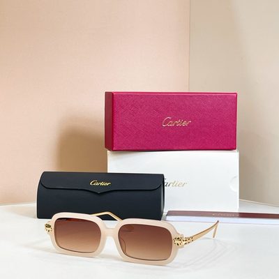 Cartier Sunglasses — 4
