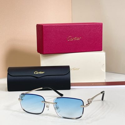 Cartier sunglasses — 6